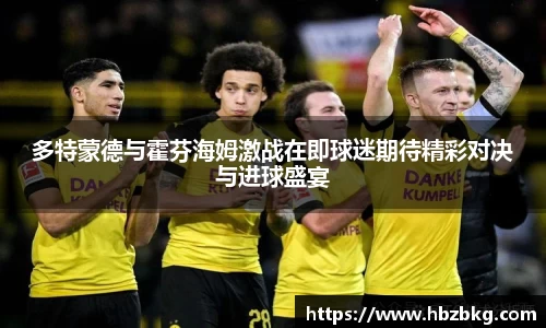 多特蒙德与霍芬海姆激战在即球迷期待精彩对决与进球盛宴